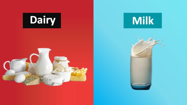 Sự khác nhau giữa Milk và Dairy