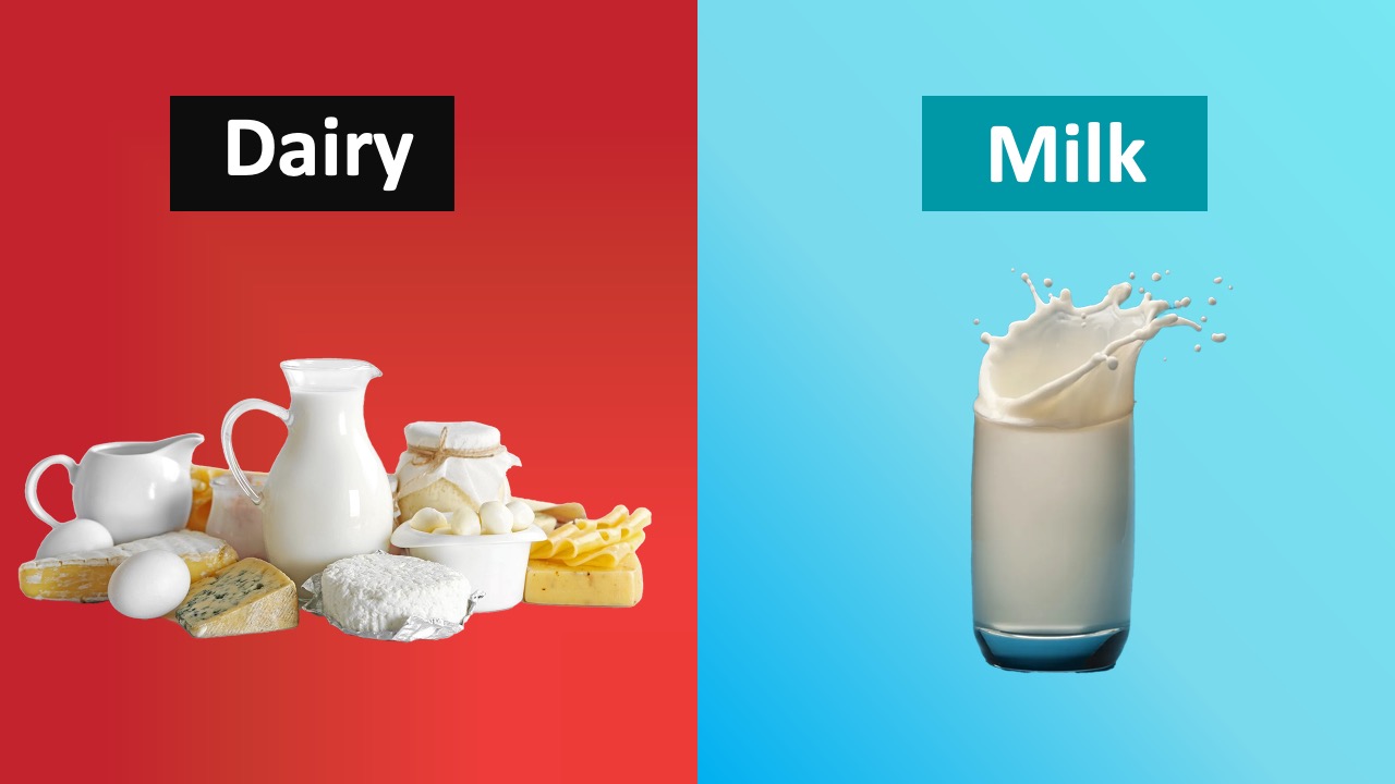 Sự khác nhau giữa dairy và milk
